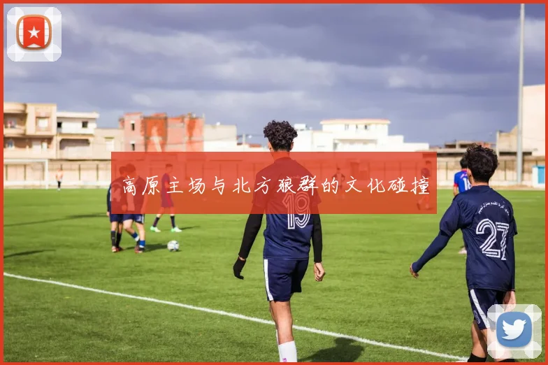 高原主场与北方狼群的文化碰撞