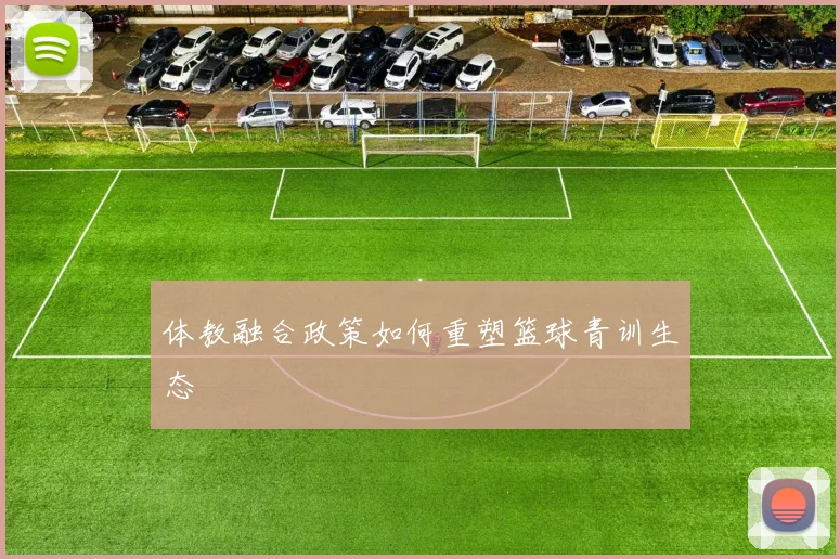 体教融合政策如何重塑篮球青训生态