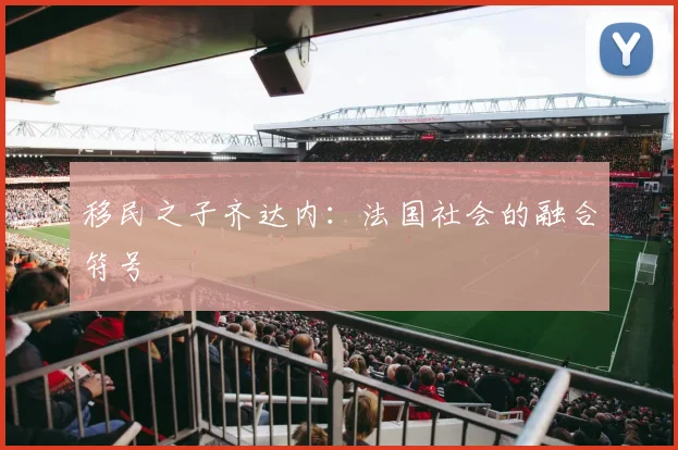 移民之子齐达内：法国社会的融合符号